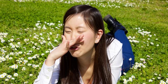 a young Asian girl sneezing in a field of clover
