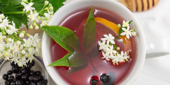 A cup of elderberry tea, with a lemon slice and honey