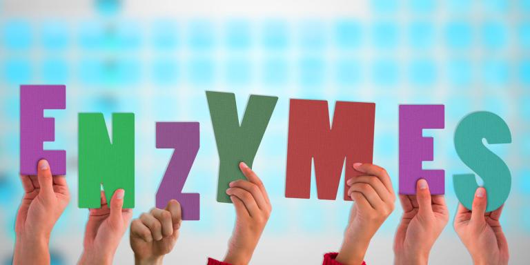 Different hands holding up letters that spell out enzymes.