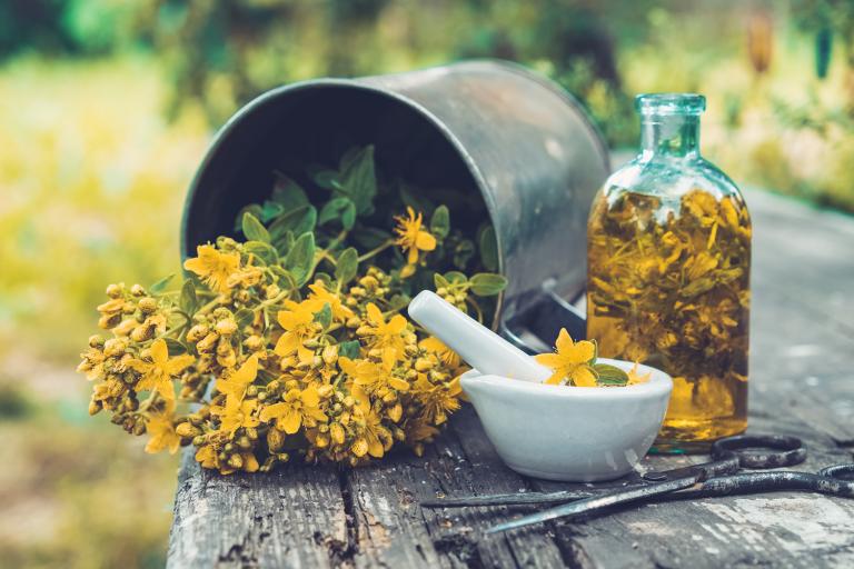 St. John's Wort in a metal bucket laying on its side next to a glass bottle of tincture and a mortar and pestle..